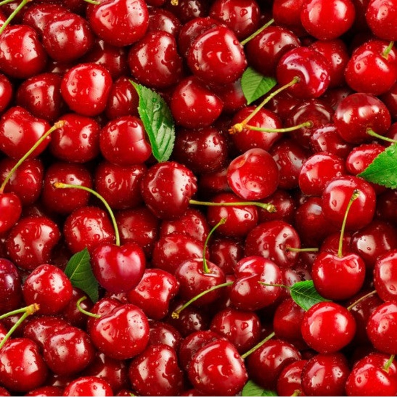 44" -Elizabeth's Studio - Food Festival - "Cherries" - 100% Cotton
